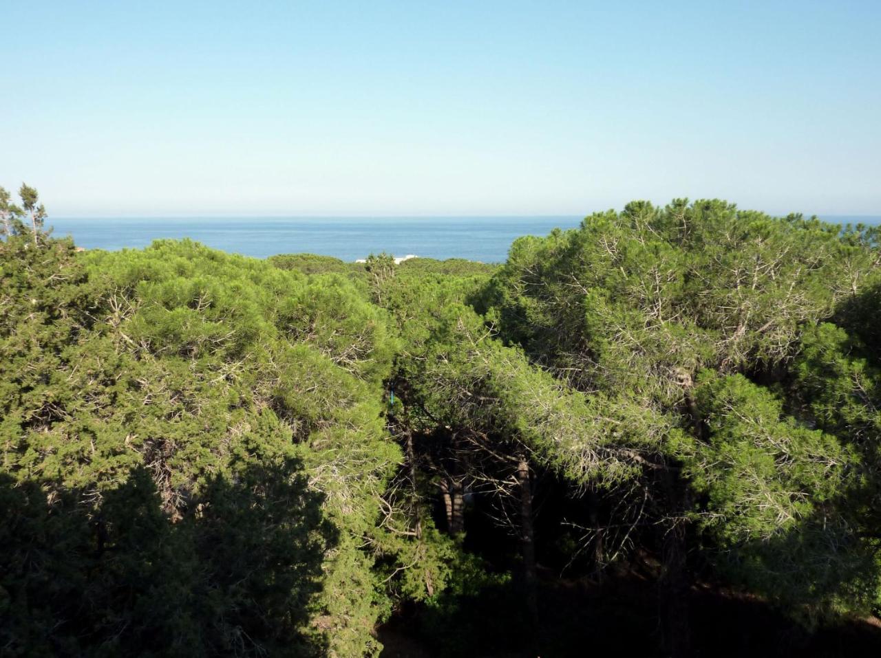 La Bouganville Apartments Cala Gonone Dış mekan fotoğraf